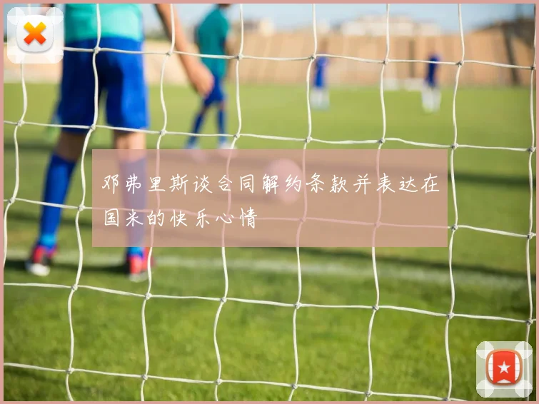 邓弗里斯谈合同解约条款并表达在国米的快乐心情